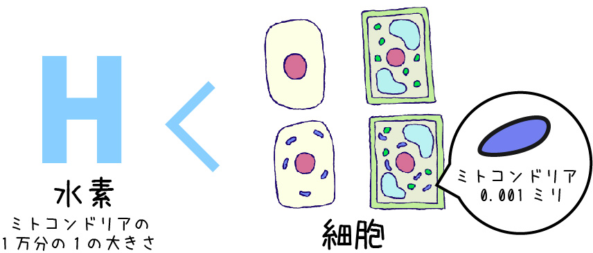 水素は世の中で一番小さな物質