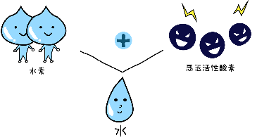 悪玉活性酸素を水へ
